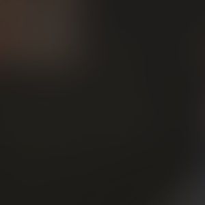 Meet your Posher, Loris